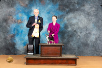 Chihuahua Smooth Coat #J750 Mon BJr Judge Norbert Dee