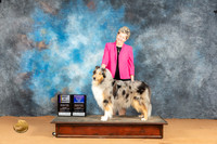 Collie Rough #6 Mon WBBOWBOV Judge Pat Trotter