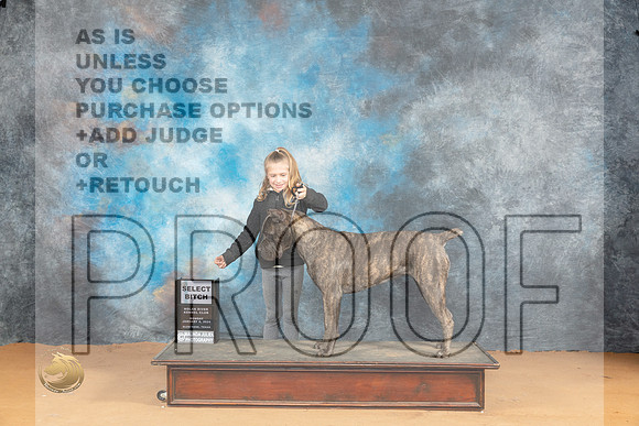 Corso #16 Mon SB Judge Butch Schulman_JP_1694_Glen Rose_2024_HR3
