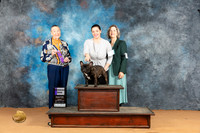 French Bulldog #? Mon WD Judge Carolyn Herbel