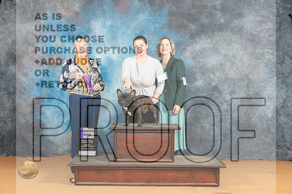 French Bulldog #? Mon WD Judge Carolyn Herbel_JP_1785_Glen Rose_2024_HR3