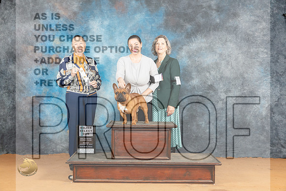 French Bulldog #23 Mon SDM Judge Carolyn Herbel_JP_1782_Glen Rose_2024_HR3