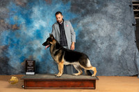 German Se hepherd #7 Sun WDBOWM Judge Butch Schulman