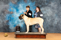 Mastiff #11 Mon WDBOWBOBM Judge Butch Schulman