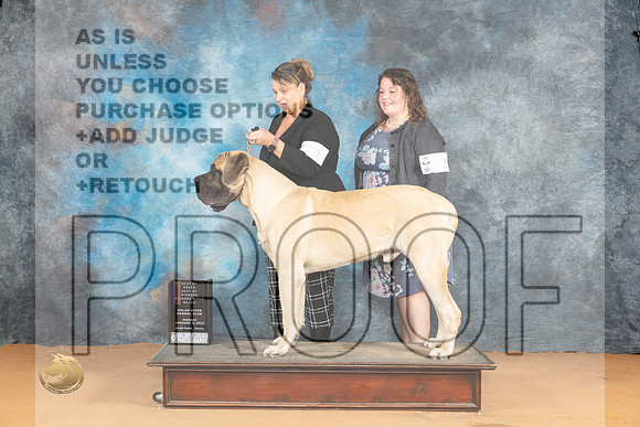 Mastiff #11 Mon WDBOWBOBM Judge Butch Schulman_JP_1762_Glen Rose_2024_HR3