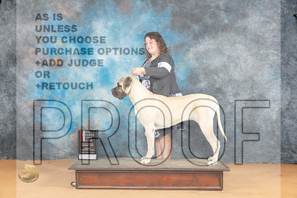 Mastiff #12 Mon WBBOSM Judge Butch Schulman_JP_1728_Glen Rose_2024_HR3
