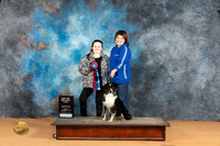 Miniature American Shepherd #? FAST CAT