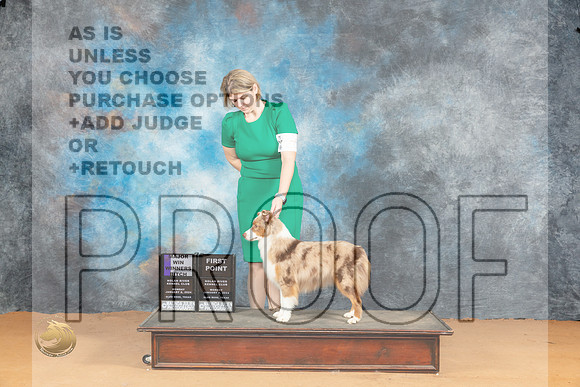 Miniature American Shepherd #26 Sat WBM Judge Dr Steve Keating_JP_1677_Glen Rose_2024_HR3