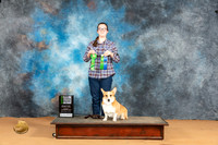 Pembroke Welsh Corgi #87
