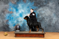 Rottweiler #9 Mon WDBOWBOBM Judge?