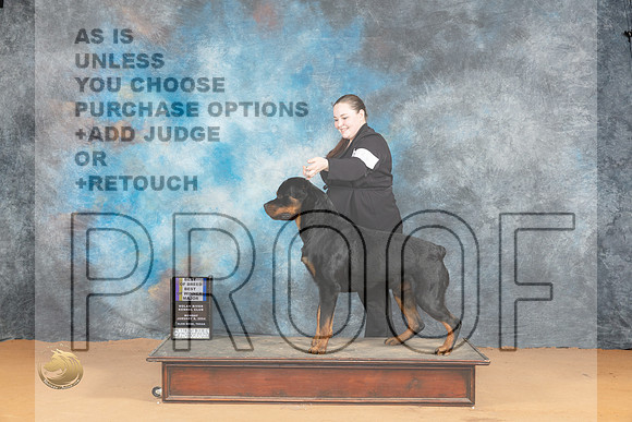 Rottweiler #9 Mon WDBOWBOBM Judge?_JP_1907_Glen Rose_2024_HR3