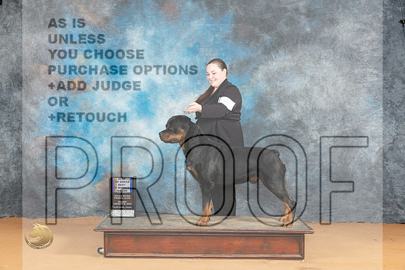 Rottweiler #9 Mon WDBOWBOBM Judge?_JP_1909_Glen Rose_2024_HR3