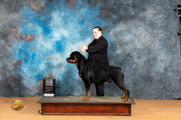 Rottweiler #9 Sun BOWBOB M Judge Carolyn Herbel