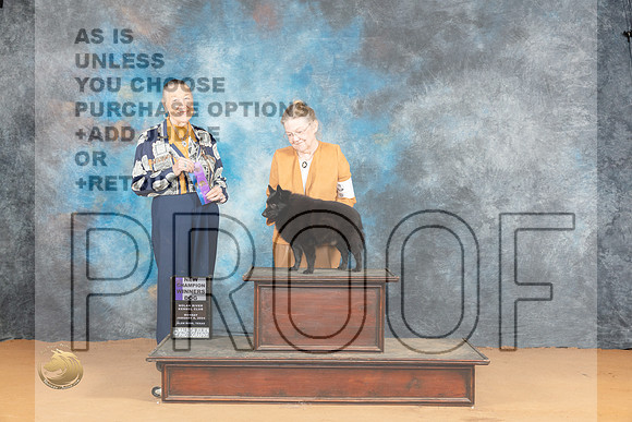 Schipperkee #5 Sun WD Judge Carolyn Herbel_JP_1913_Glen Rose_2024_HR3