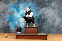 Shiba Inu #11 Sun BOBWDBOW Judge Edy Blum