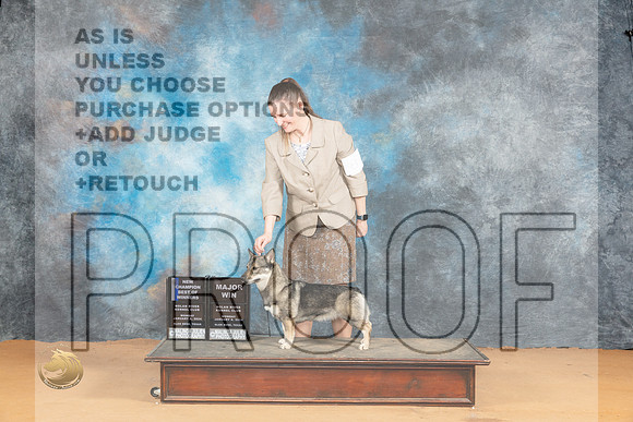 Swedish Vallhund #8 Mon BOWMCh Judge Pat Trotter_JP_1827_Glen Rose_2024_HR3