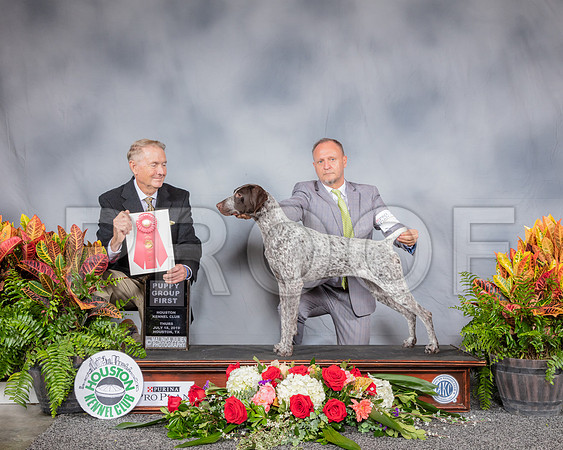 German Shorthaired Pointer #14 Thurs G1 Pup Judge Chris Neil_SSR_3406_Hstn2019_HR3