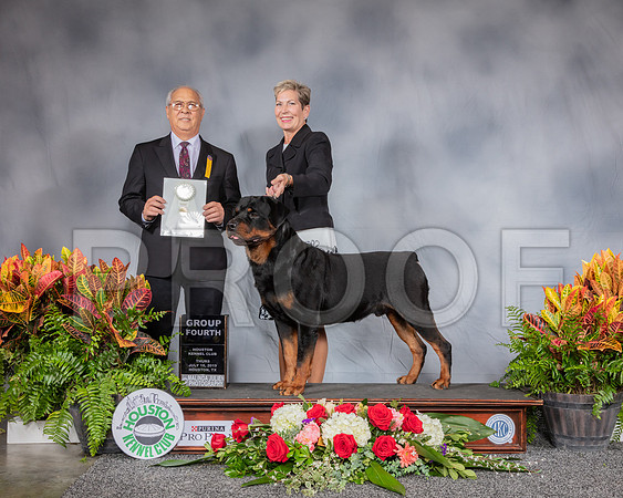 Rottweiler #33 Thurs OHG4 BOB Judge Larry Chu_SSR_3212_Hstn2019_HR3