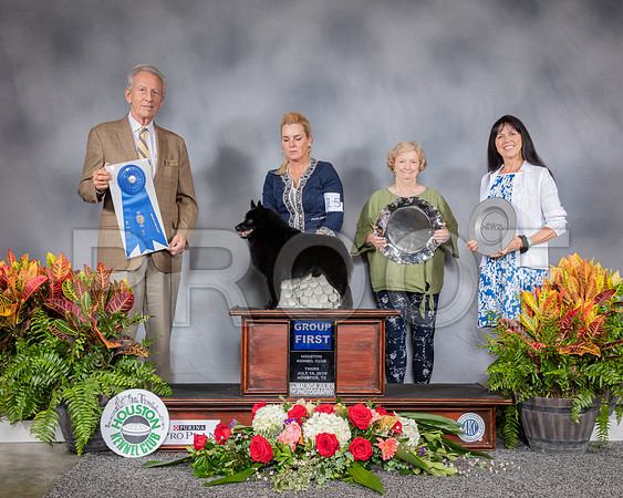 Schipperke #15 Thurs G1 Judge Jimmy Moses_SSR_3372_Hstn2019_HR3