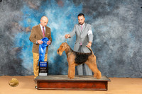 Airedale #5 Mon G1 Judge Butch Schulman