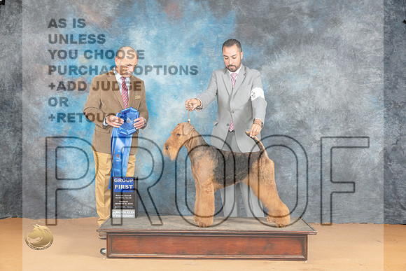 Airedale #5 Mon G1 Judge Butch Schulman_JP_1995_Glen Rose_2024_HR3