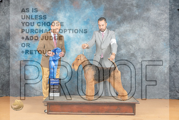 Airedale #5 Mon G1 Judge Butch Schulman_JP_1996_Glen Rose_2024_HR3