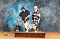 Australian Shepherd #20 Mon WBBOWM Judge Pat Trotter