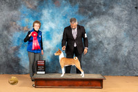 Basenji #9 Mon G2 Judge Pat Trotter
