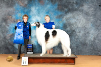 Borzoi #23 Mon G1 Judge Pat Trotter