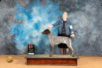 German Shorthaired Pointer #15 Sun BOSGCH Judge Nena Dee