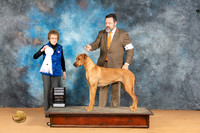 Rhodesian Ridgeback #14 Mon G4 Judge Pat Trotter