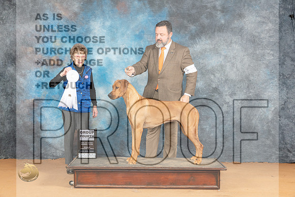 Rhodesian Ridgeback #14 Mon G4 Judge Pat Trotter_JP_2034_Glen Rose_2024_HR3