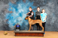 Rhodesian Ridgeback #18 Sun WBBOW Judge Steve Keating