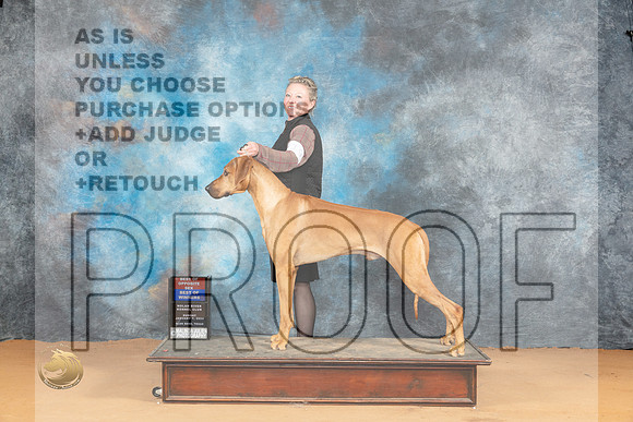 Rhodesian Ridgeback #19 Sun WDBOS Judge Steve Keating_JP_1957_Glen Rose_2024_HR3