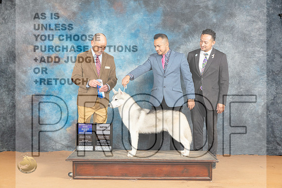 Siberian Husky #15 Mon WDBOW Judge Butch Schulman_JP_1969_Glen Rose_2024_HR3