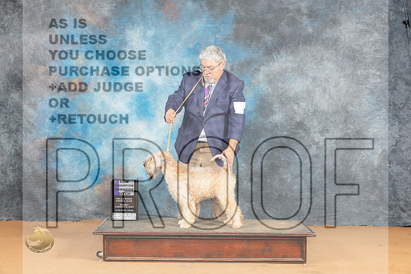 Soft Coated Wheaten Terrier #16 Sat WBCH Judge Butch Schulman_JP_2057_Glen Rose_2024_HR3