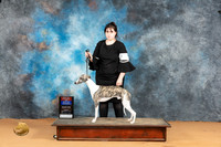 Whippet #21 Mon BOSBOWWD Judge Steve Keating