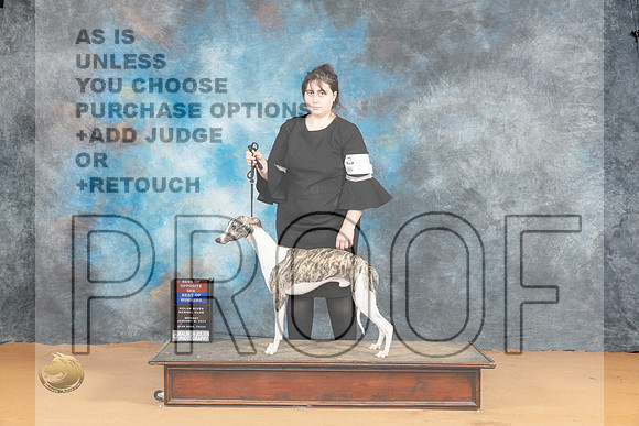 Whippet #21 Mon BOSBOWWD Judge Steve Keating_JP_1949_Glen Rose_2024_HR3
