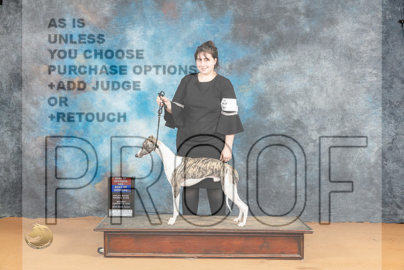 Whippet #21 Mon BOSBOWWD Judge Steve Keating_JP_1951_Glen Rose_2024_HR3