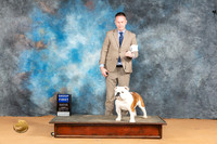 Bulldog #7 Mon G1 Judge Steve Keating