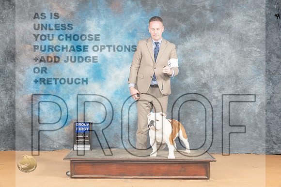 Bulldog #7 Mon G1 Judge Steve Keating_JP_2189_Glen Rose_2024_HR3