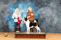 Canaan Dog #5 Mon G2 Judge Edy Blum