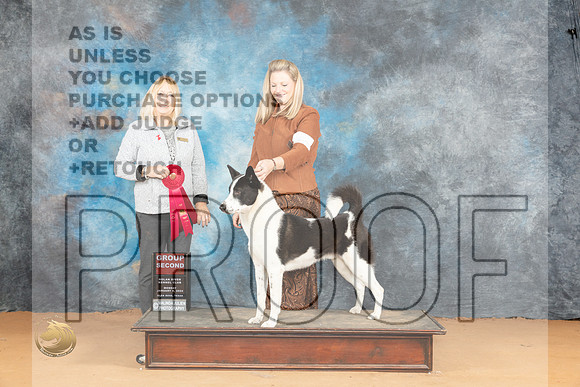 Canaan Dog #5 Mon G2 Judge Edy Blum_JP_2192_Glen Rose_2024_HR3