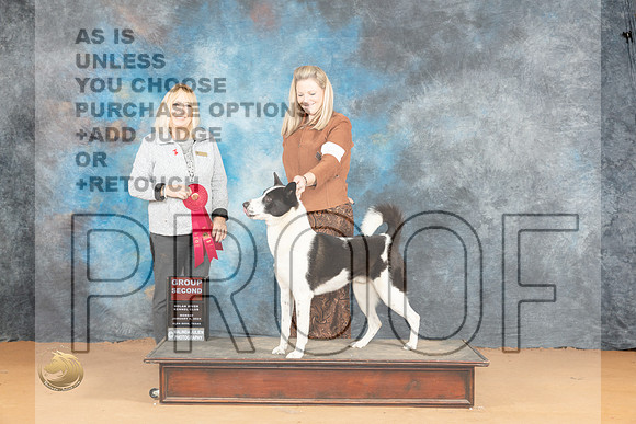 Canaan Dog #5 Mon G2 Judge Edy Blum_JP_2194_Glen Rose_2024_HR3