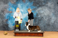 Cardigan Welsh Corgi #9 Mon G3 Judge Edy Blum
