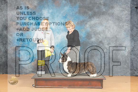 Cardigan Welsh Corgi #9 Mon G3 Judge Edy Blum_JP_2087_Glen Rose_2024_HR3