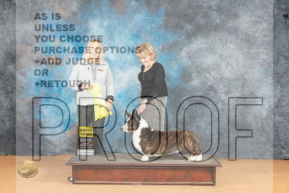 Cardigan Welsh Corgi #9 Mon G3 Judge Edy Blum_JP_2088_Glen Rose_2024_HR3