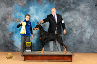 Doberman Pinscher #15 Mon G3 Judge Pat Trotter