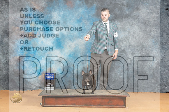 French Bulldog #35 Mon G1 Judge Steve Keating_JP_2184_Glen Rose_2024_HR3