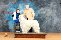 Komondor #5 Mon G4 Judge Pat Trotter